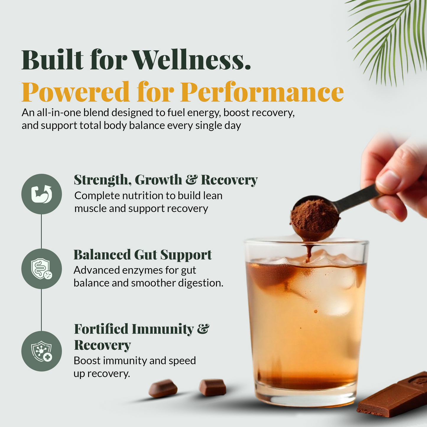 Plant Protein (Chocolate)