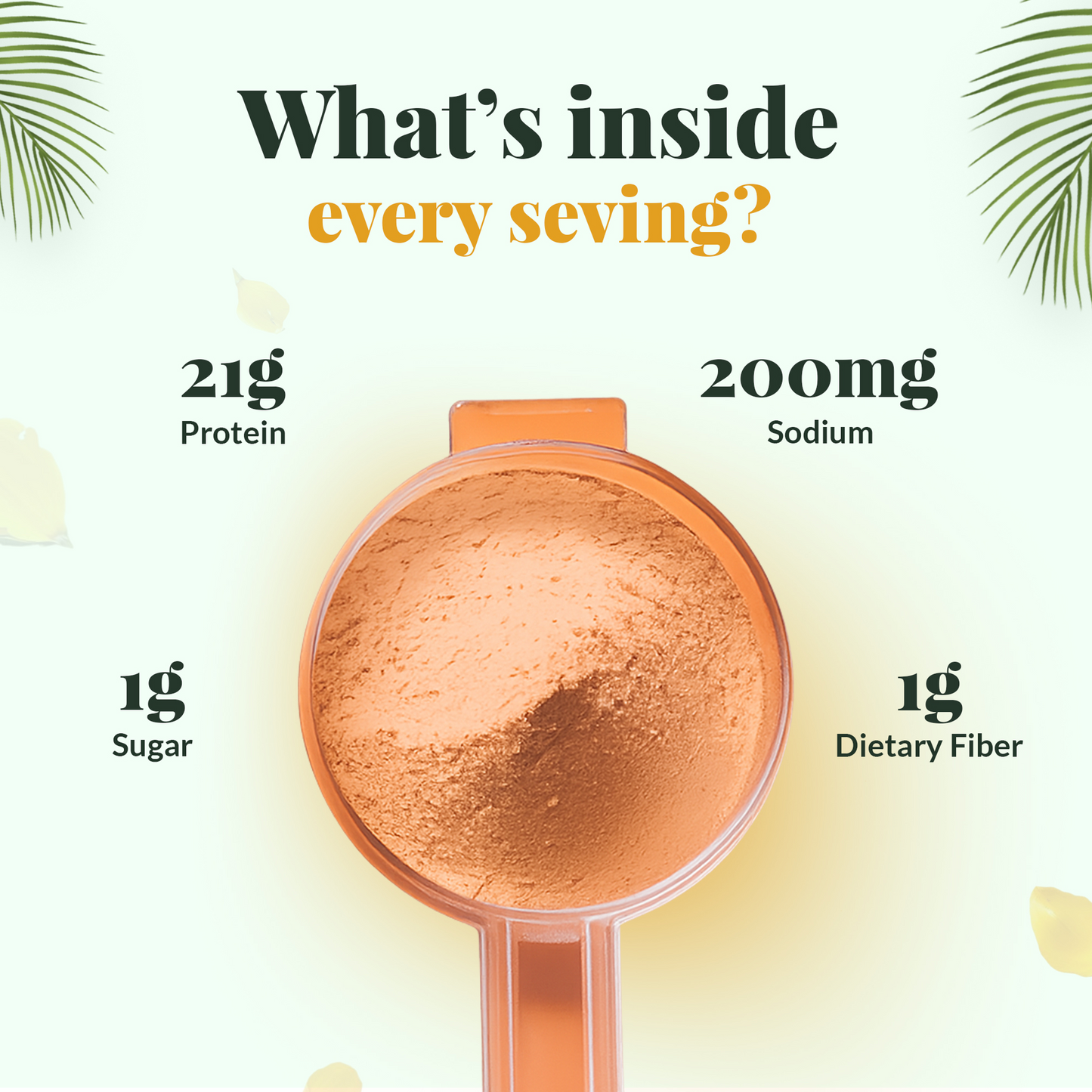 Plant Protein (Chocolate)