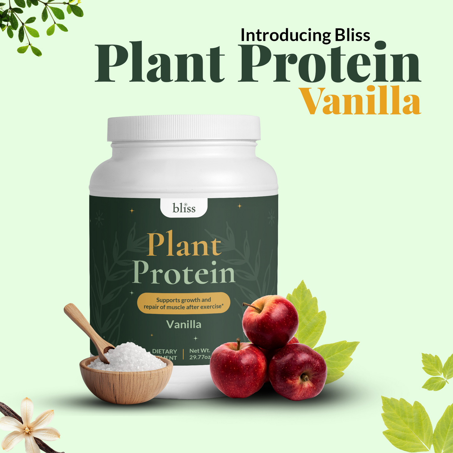 Plant Protein (Vanilla)