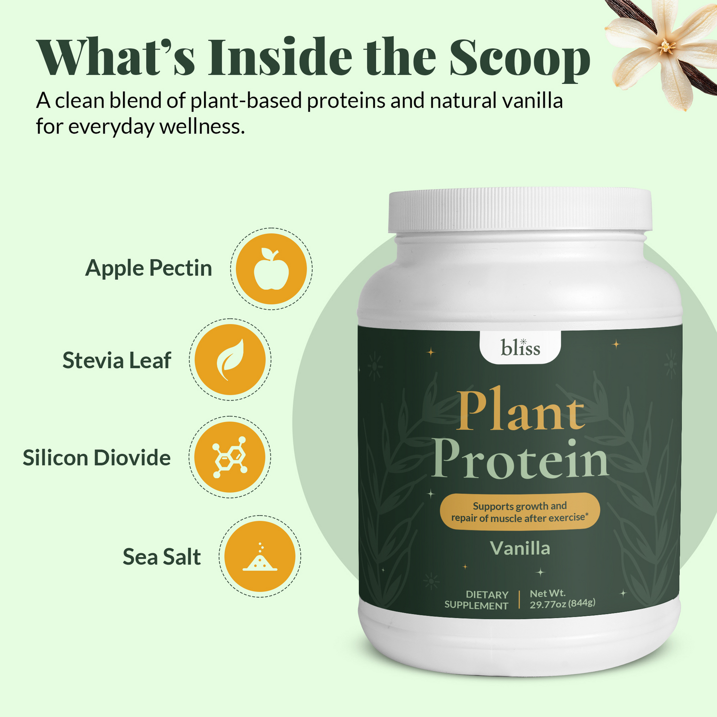 Plant Protein (Vanilla)