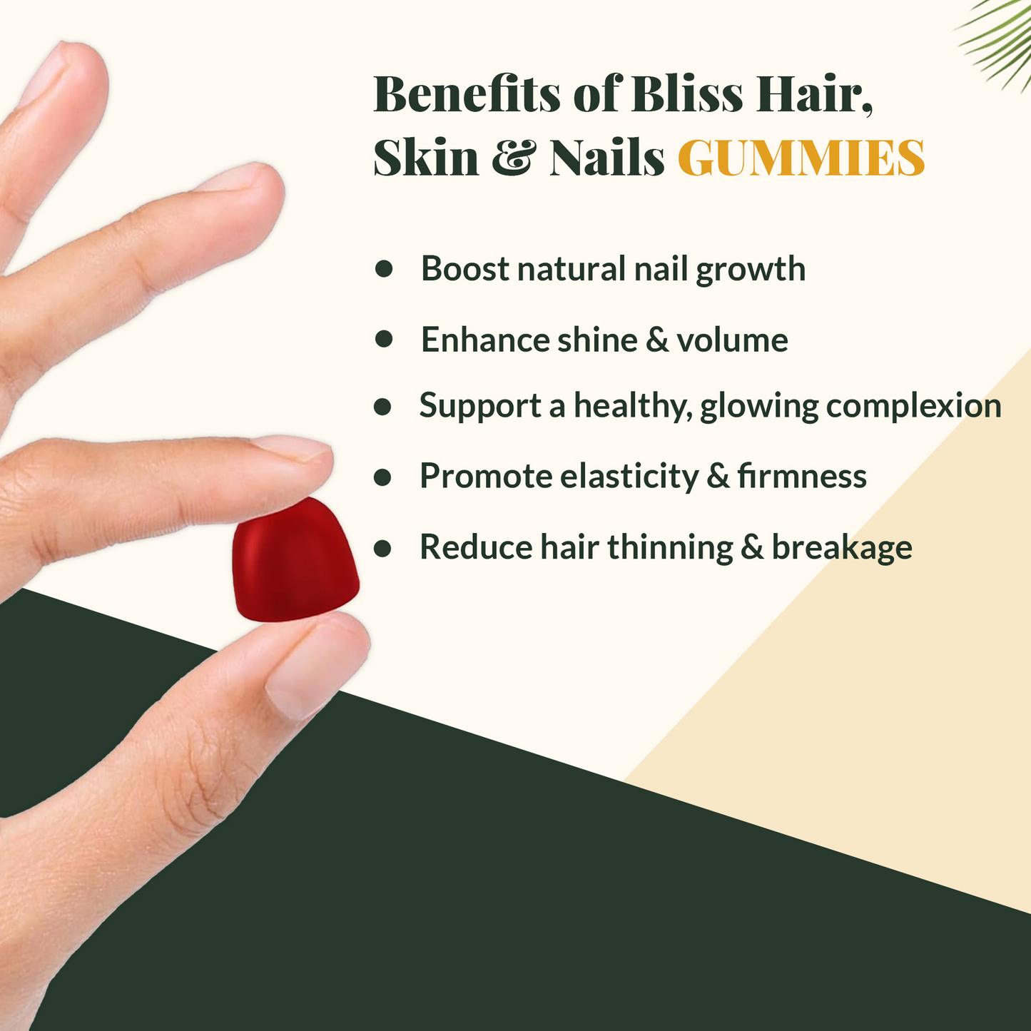 Shine Gummies