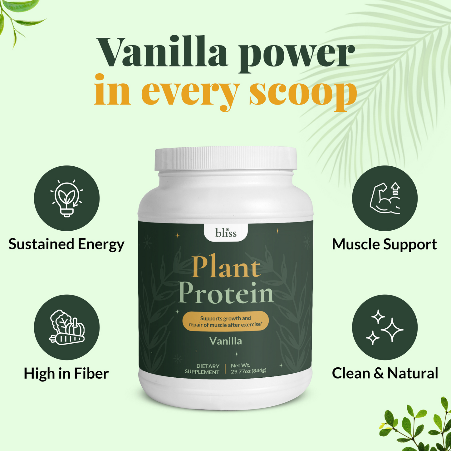 Plant Protein (Vanilla)